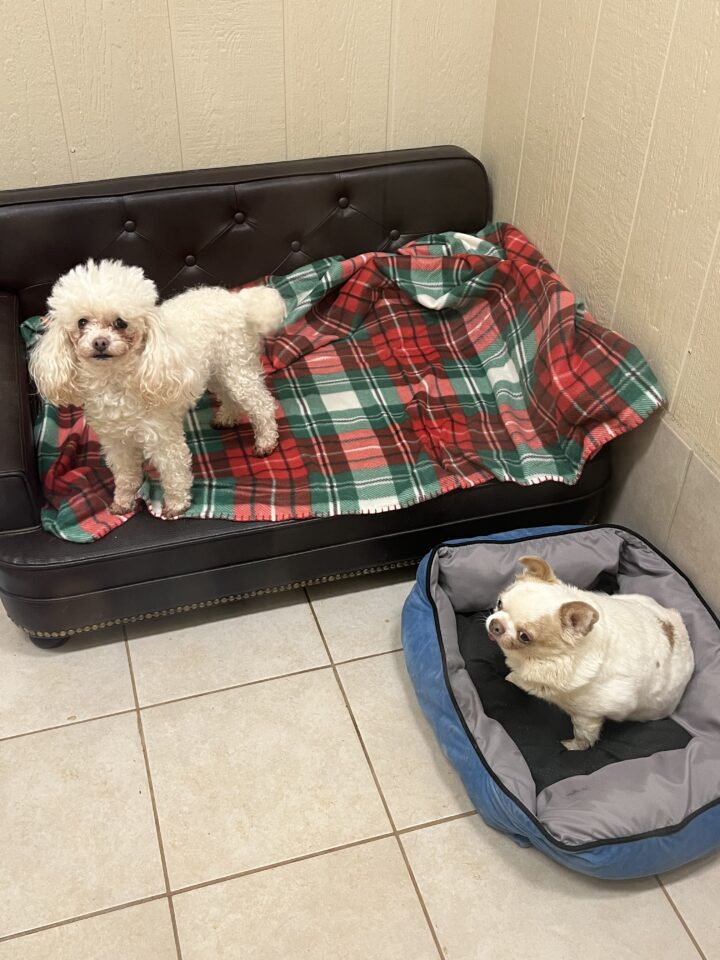 5dcdd9eb-4f25-4018-802a-535cc6ba18c0-2